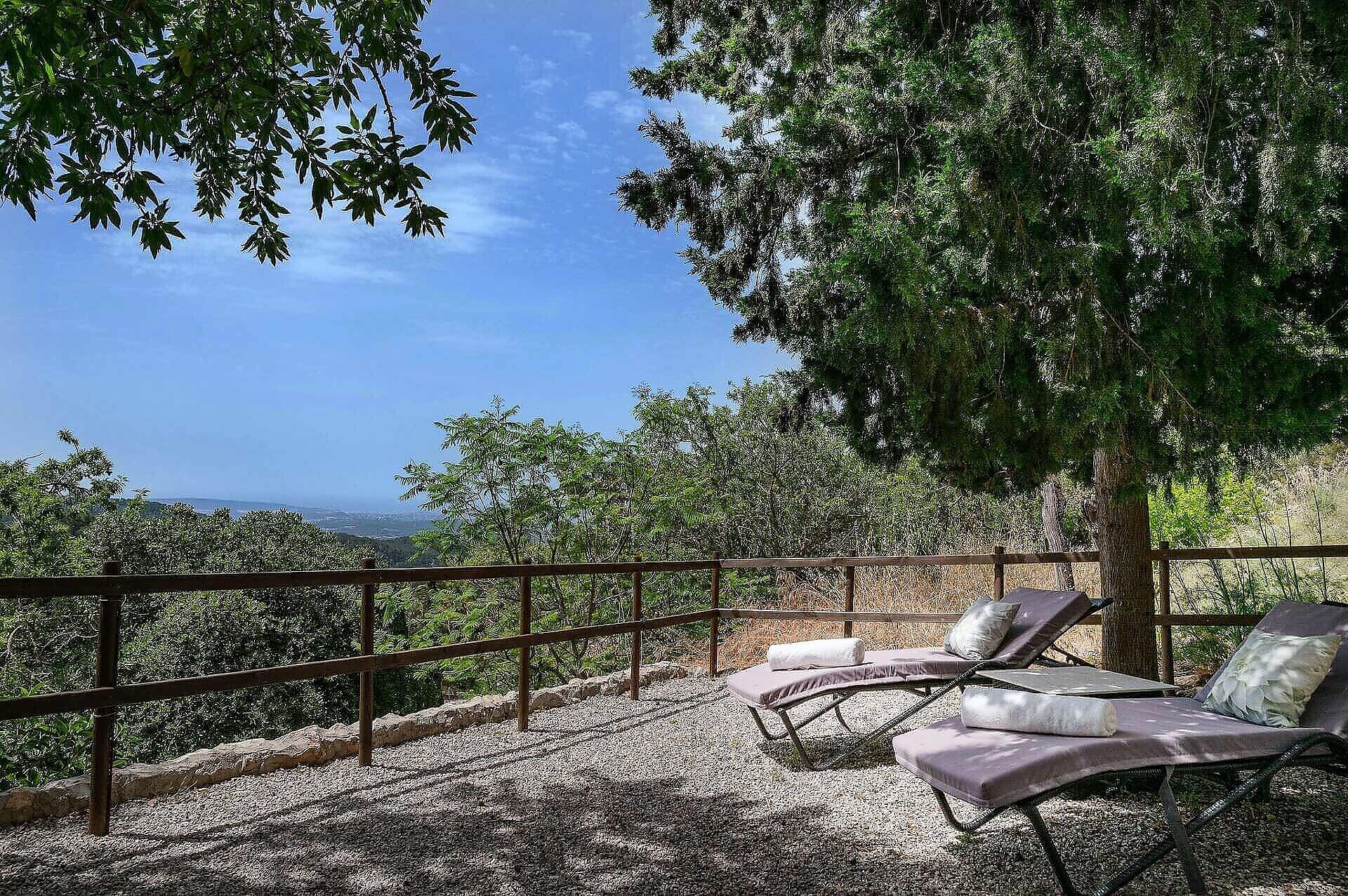 01-363 Luxus Villa im Dorf Mallorca Westen mieten Bild 5