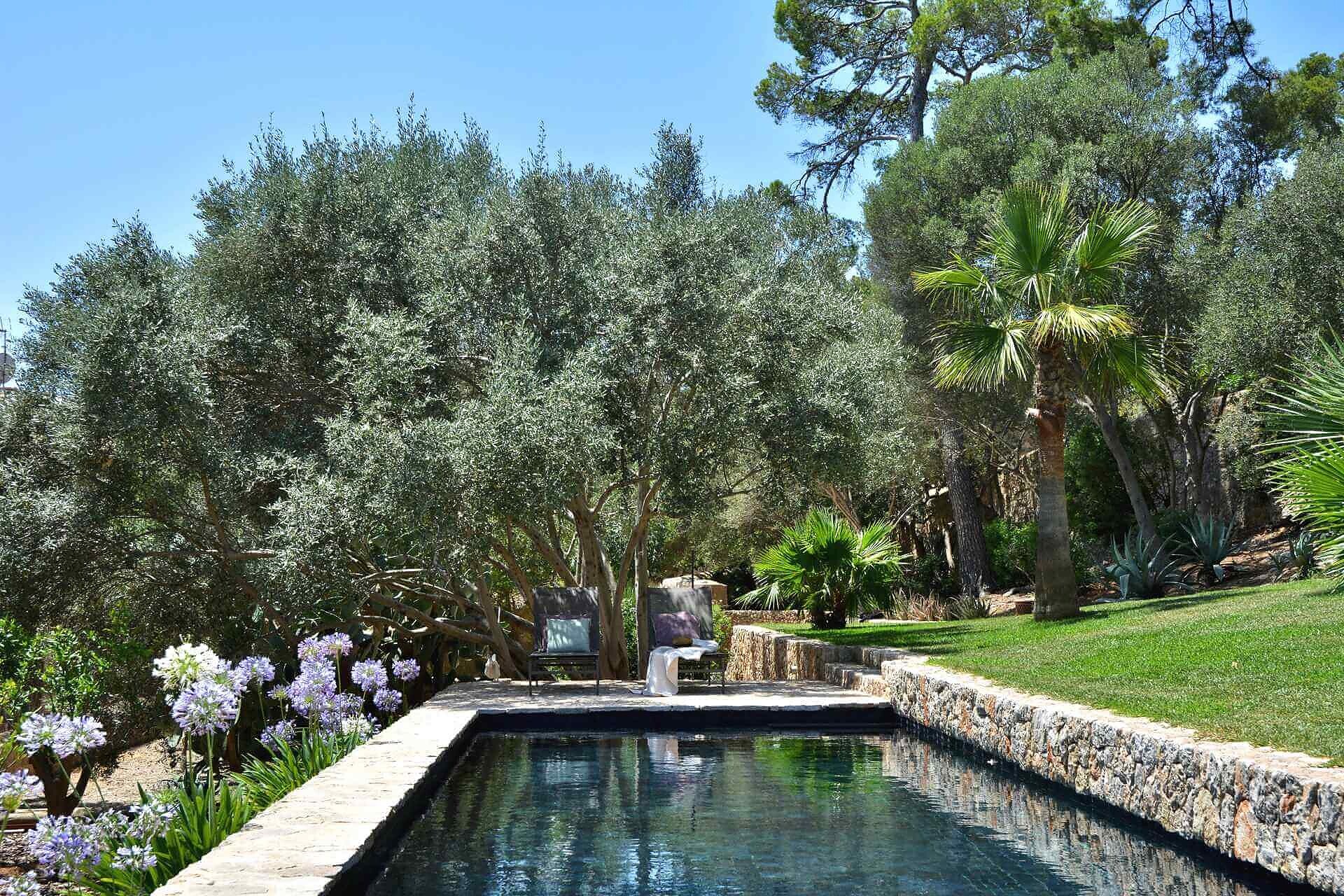 01-323 Luxury mansion southwest Mallorca mieten Bild 5