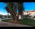 01-250 Extravagante Villa Mallorca Norden Vorschaubild 16